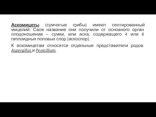 Аскомицеты (сумчатые грибы) имеют септированный мицелий. Свое название они получили от основного