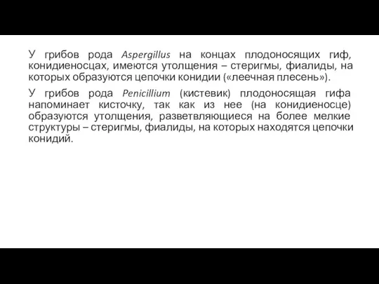 У грибов рода Aspergillus на концах плодоносящих гиф, конидиеносцах, имеются утолщения –