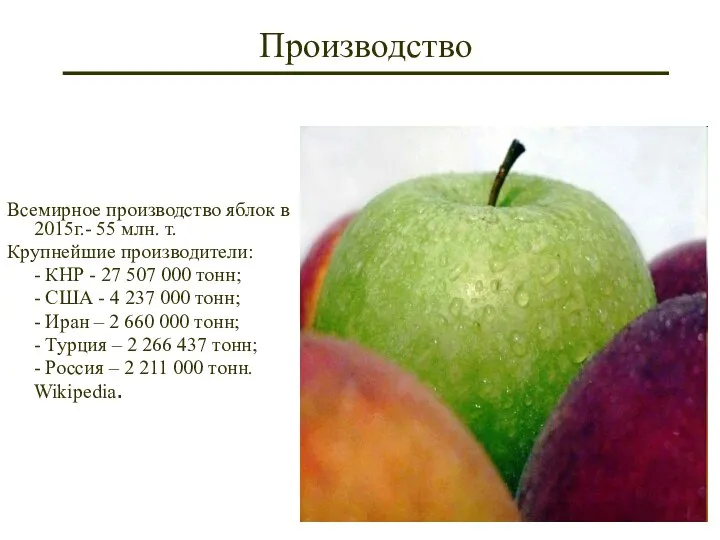Производство Всемирное производство яблок в 2015г.- 55 млн. т. Крупнейшие производители: -