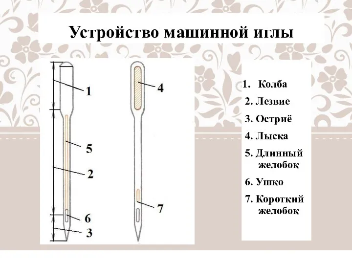 Устройство машинной иглы Колба 2. Лезвие 3. Остриё 4. Лыска 5. Длинный