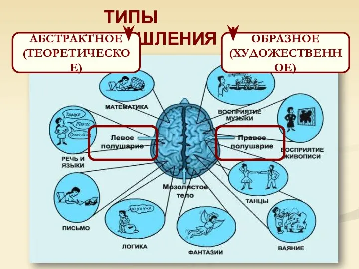 ТИПЫ МЫШЛЕНИЯ АБСТРАКТНОЕ (ТЕОРЕТИЧЕСКОЕ) ОБРАЗНОЕ (ХУДОЖЕСТВЕННОЕ)