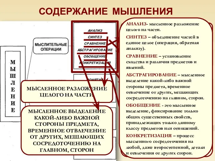 СОДЕРЖАНИЕ МЫШЛЕНИЯ УСТАНОВЛЕНИЕ СХОДСТВА И РАЗЛИЧИЯ ПРЕДМЕТОВ И ЯВЛЕНИЙ ОБЪЕДИНЕНИЕ ЧАСТЕЙ В