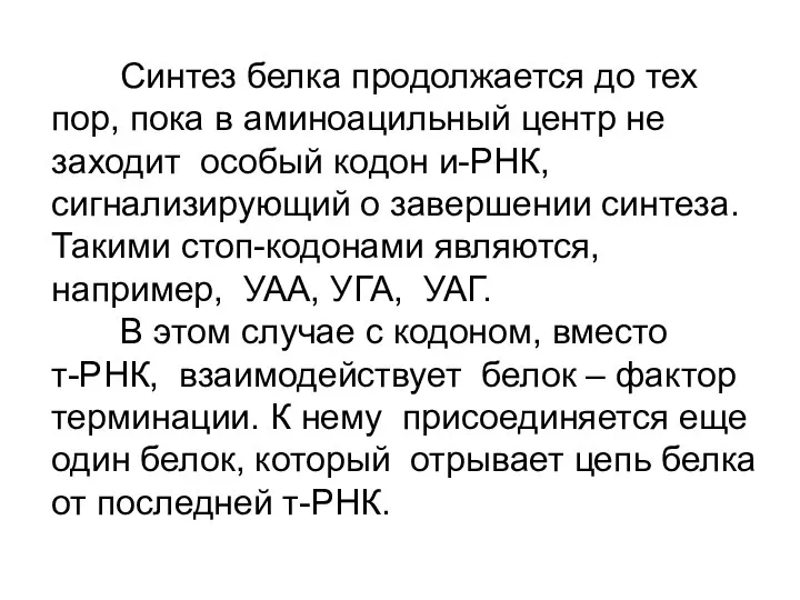 Синтез белка продолжается до тех пор, пока в аминоацильный центр не заходит