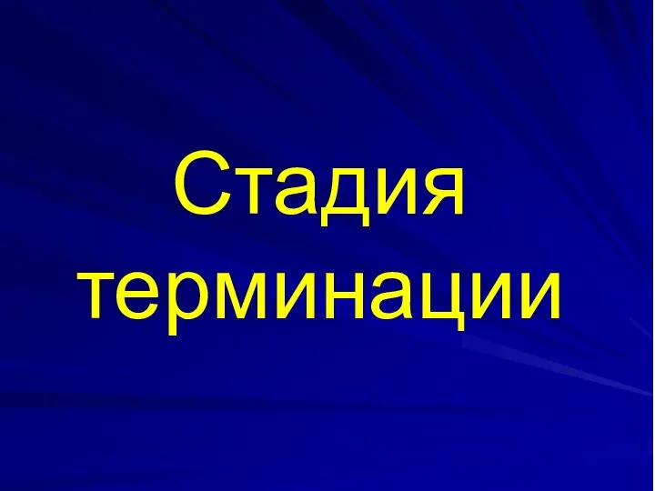 Стадия терминации