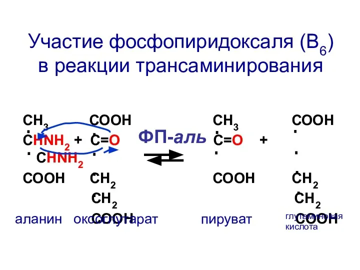 СН3 СООН СН3 СООН СНNH2 + C=О С=О + СНNH2 СООН СН2