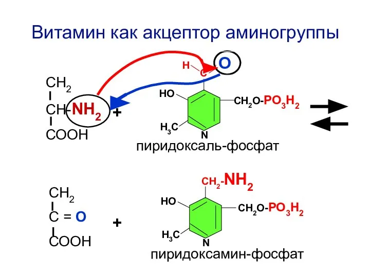 Н О С СН2О-РО3Н2 НО Н3С N СН2-NH2 СН2О-РО3Н2 НО Н3С N