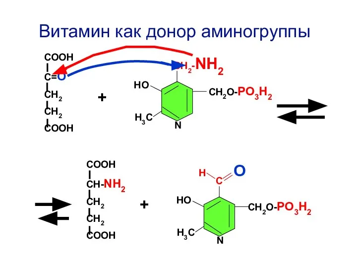 Н О С СН2О-РО3Н2 НО Н3С N СН2-NH2 СН2О-РО3Н2 НО Н3С N