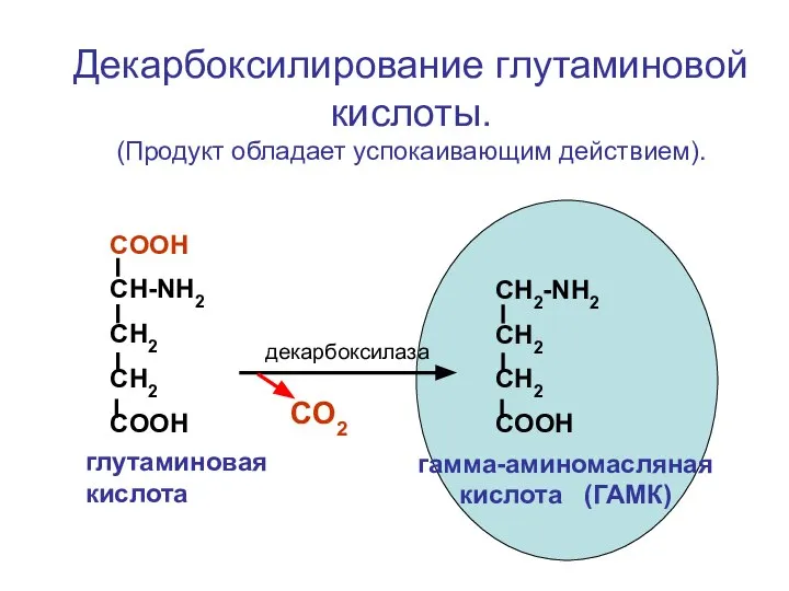 СOOH CH-NH2 CH2 CH2 COOH CH2-NH2 CH2 CH2 COOH декарбоксилаза CO2 глутаминовая