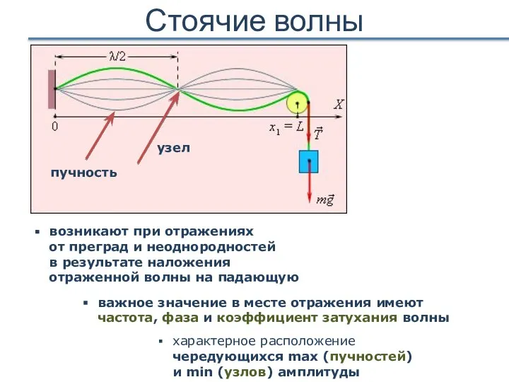 Стоячие волны характерное расположение чередующихся max (пучностей) и min (узлов) амплитуды возникают