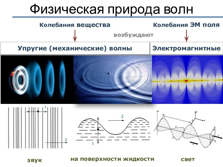 Физическая природа волн на поверхности жидкости Электромагнитные Упругие (механические) волны Колебания ЭМ