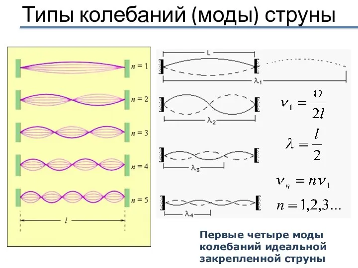 Типы колебаний (моды) струны Первые четыре моды колебаний идеальной закрепленной струны