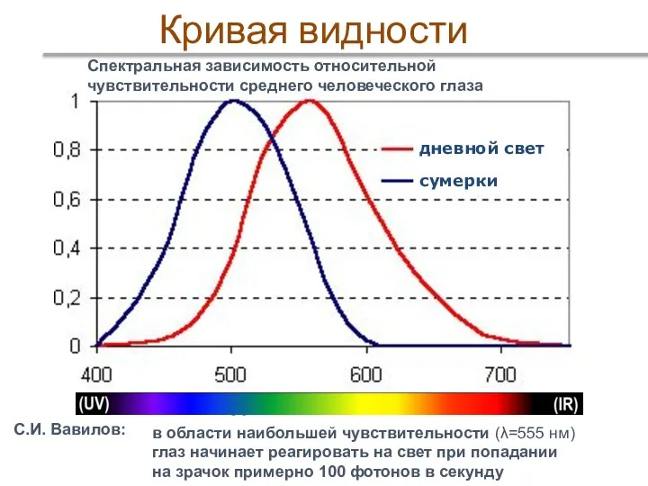 Кривая видности Спектральная зависимость относительной чувствительности среднего человеческого глаза дневной свет сумерки