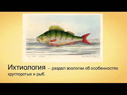 Ихтиология — раздел зоологии об особенностях круглоротых и рыб.