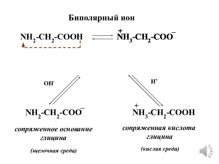 Биполярный ион NH2-CH2-COOH NH3-CH2-COO + _ NH3-CH2-COO + NH2-CH2-COO NH3-CH2-COOH + _