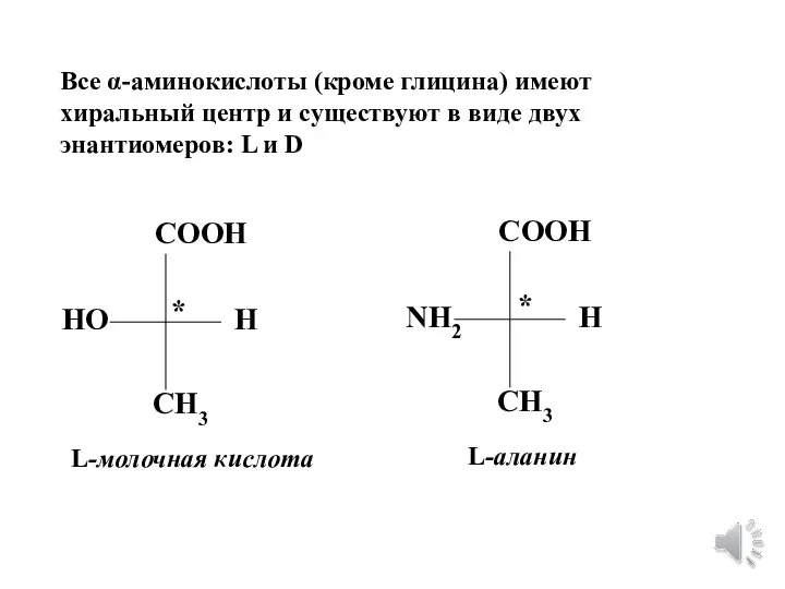 Все α-аминокислоты (кроме глицина) имеют хиральный центр и существуют в виде двух