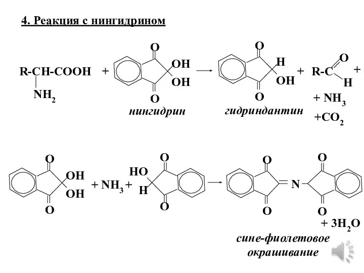 4. Реакция с нингидрином R-CH-COOH NH2 R-C O H + ОН ОН