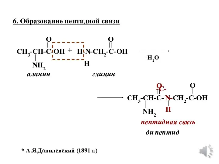 6. Образование пептидной связи CH3-CH-C-OH NH2 O H-N-CH2-C-OH O H аланин глицин