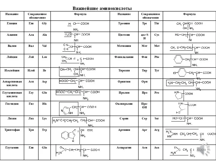 Важнейшие аминокислоты