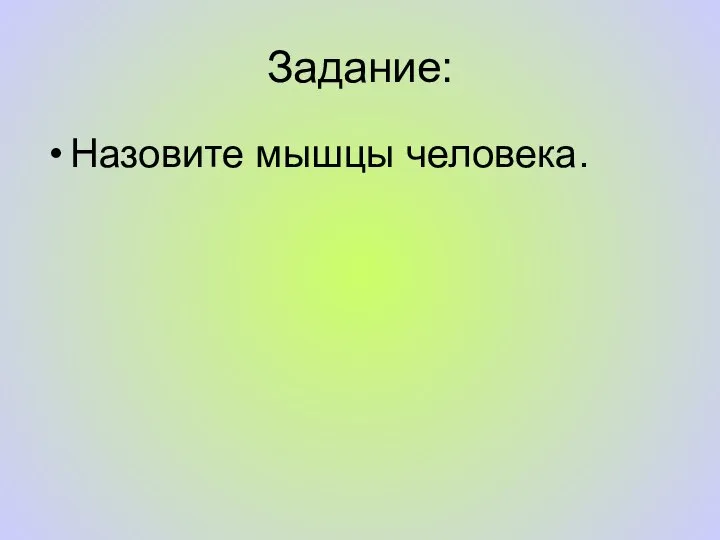 Задание: Назовите мышцы человека.