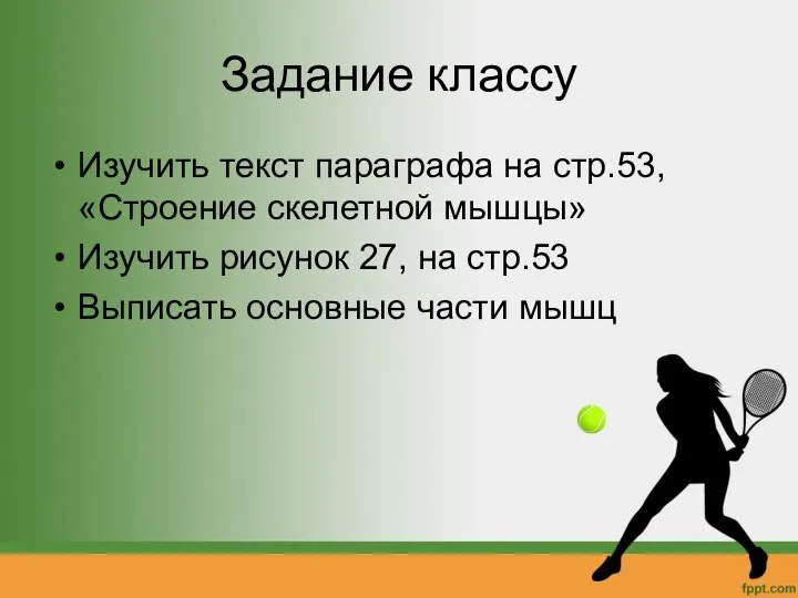 Задание классу Изучить текст параграфа на стр.53, «Строение скелетной мышцы» Изучить рисунок