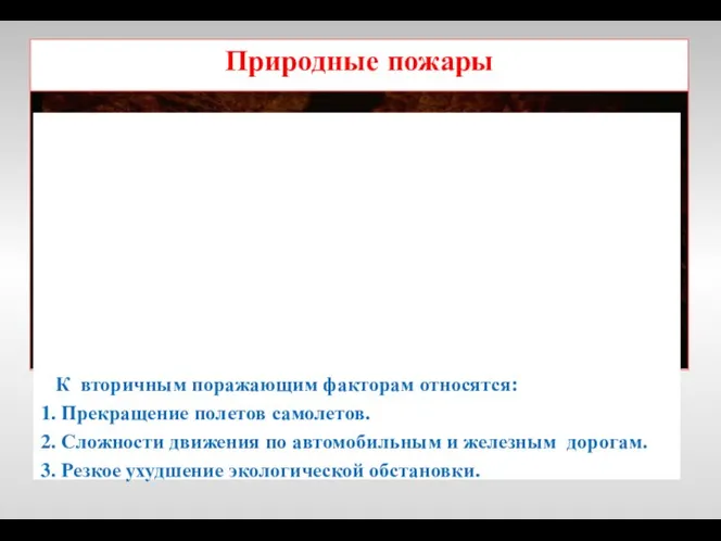 К первичным поражающим факторам лесных пожаров относятся: Огонь. Высокая температура воздуха. Ядовитые