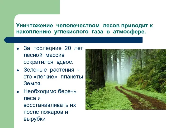 Уничтожение человечеством лесов приводит к накоплению углекислого газа в атмосфере. За последние