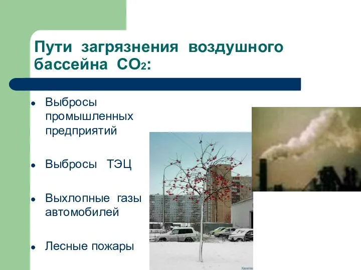 Пути загрязнения воздушного бассейна СО2: Выбросы промышленных предприятий Выбросы ТЭЦ Выхлопные газы автомобилей Лесные пожары