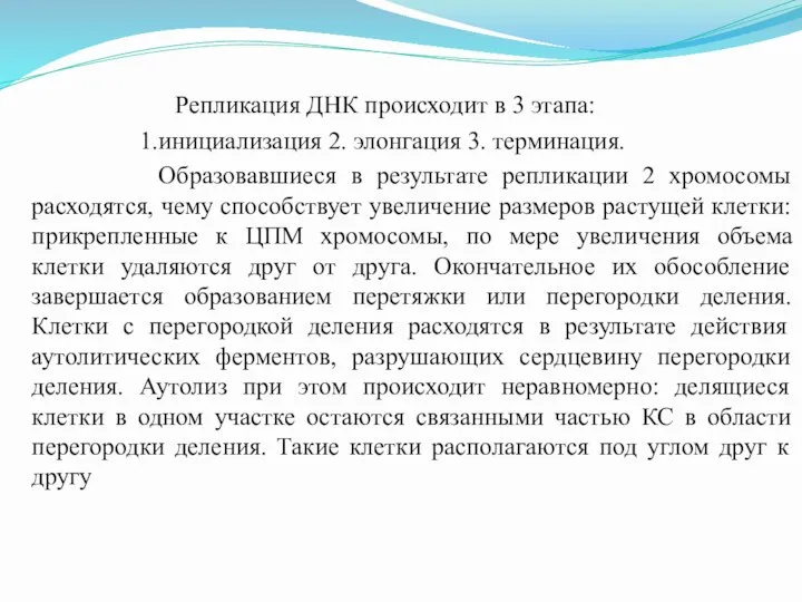 Репликация ДНК происходит в 3 этапа: 1.инициализация 2. элонгация 3. терминация. Образовавшиеся