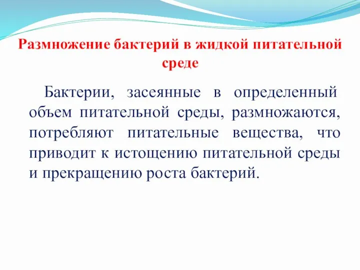 Размножение бактерий в жидкой питательной среде Бактерии, засеянные в определенный объем питательной