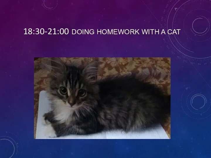 18:30-21:00 DOING HOMEWORK WITH A CAT