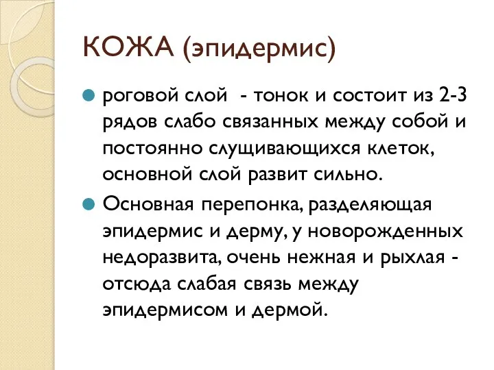 КОЖА (эпидермис) роговой слой - тонок и состоит из 2-3 рядов слабо