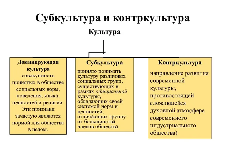 Субкультура и контркультура Культура Субкультура принято понимать культуру различных социальных групп, существующих