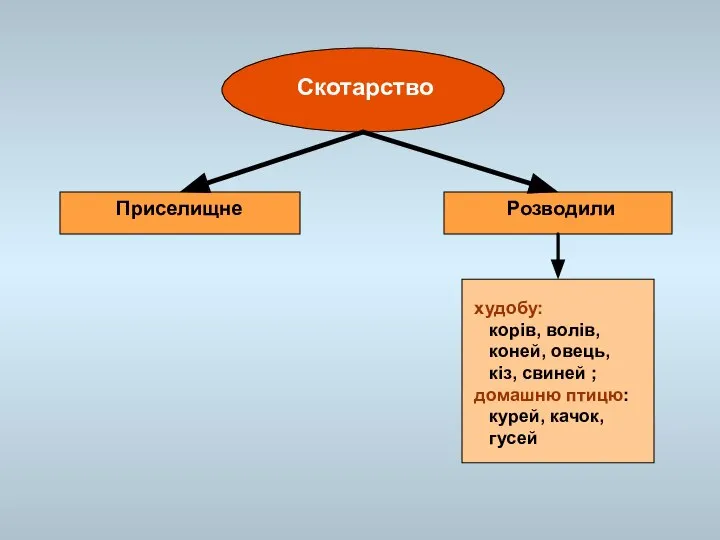 Скотарство Приселищне Розводили худобу: корів, волів, коней, овець, кіз, свиней ; домашню птицю: курей, качок, гусей