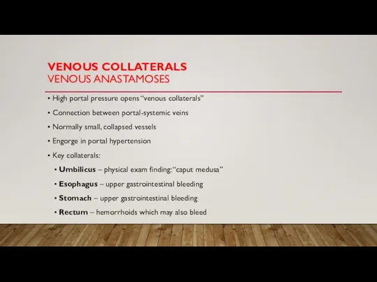 VENOUS COLLATERALS VENOUS ANASTAMOSES • High portal pressure opens “venous collaterals” •