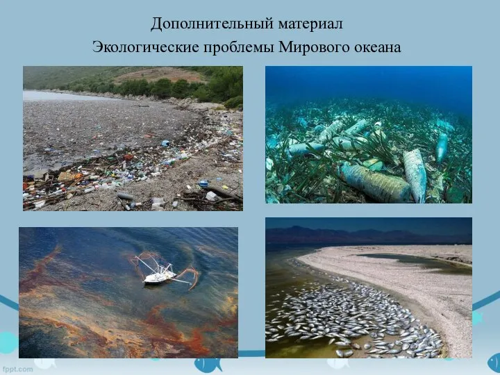 Дополнительный материал Экологические проблемы Мирового океана