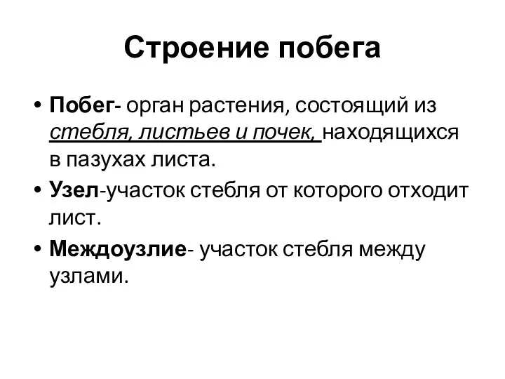 Строение побега Побег- орган растения, состоящий из стебля, листьев и почек, находящихся