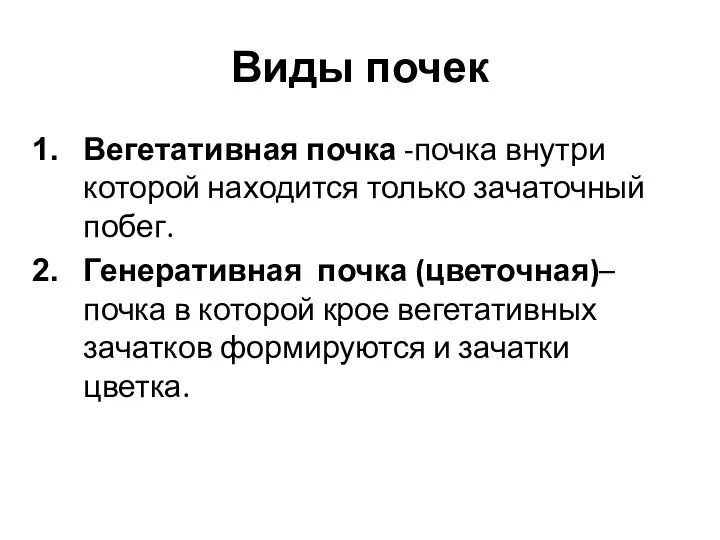 Виды почек Вегетативная почка -почка внутри которой находится только зачаточный побег. Генеративная