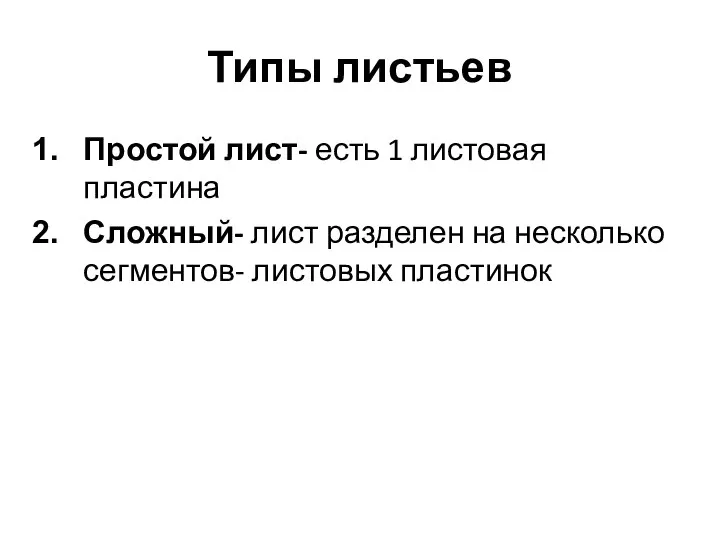 Типы листьев Простой лист- есть 1 листовая пластина Сложный- лист разделен на несколько сегментов- листовых пластинок