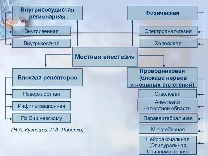 (Н.А. Кузнецов, Л.А. Лаберко)