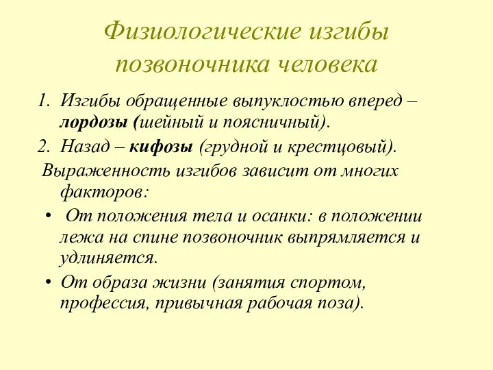 Физиологические изгибы позвоночника человека Изгибы обращенные выпуклостью вперед – лордозы (шейный и