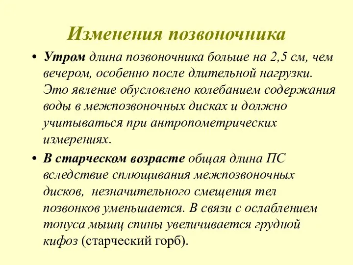 Изменения позвоночника Утром длина позвоночника больше на 2,5 см, чем вечером, особенно