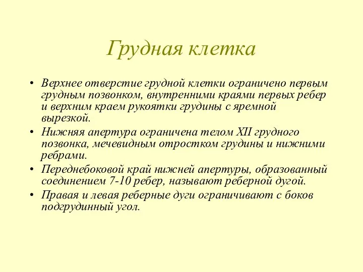 Грудная клетка Верхнее отверстие грудной клетки ограничено первым грудным позвонком, внутренними краями