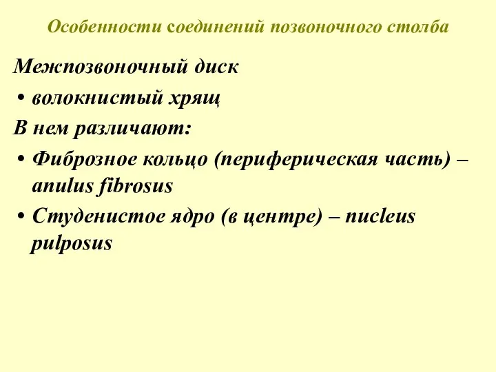 Особенности соединений позвоночного столба Межпозвоночный диск волокнистый хрящ В нем различают: Фиброзное