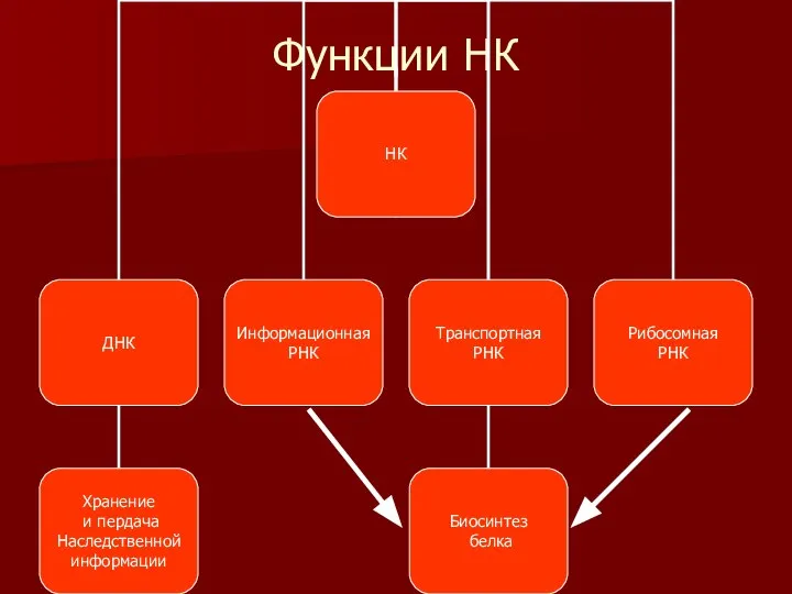 Функции НК