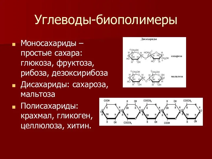 Углеводы-биополимеры Моносахариды – простые сахара: глюкоза, фруктоза, рибоза, дезоксирибоза Дисахариды: сахароза, мальтоза