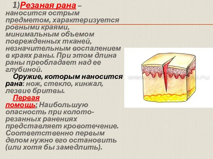 1)Резаная рана – наносится острым предметом, характеризуется ровными краями, минимальным объемом поврежденных