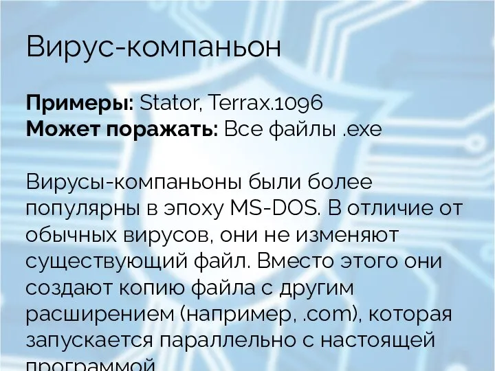 Вирус-компаньон Примеры: Stator, Terrax.1096 Может поражать: Все файлы .exe Вирусы-компаньоны были более