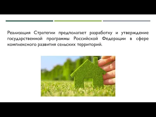 Реализация Стратегии предполагает разработку и утверждение государственной программы Российской Федерации в сфере комплексного развития сельских территорий.
