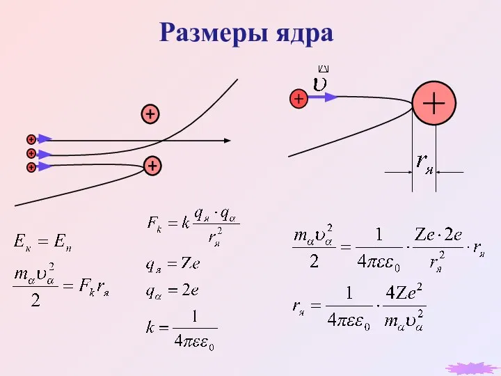 Размеры ядра