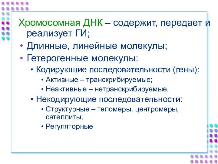 Хромосомная ДНК – содержит, передает и реализует ГИ; Длинные, линейные молекулы; Гетерогенные